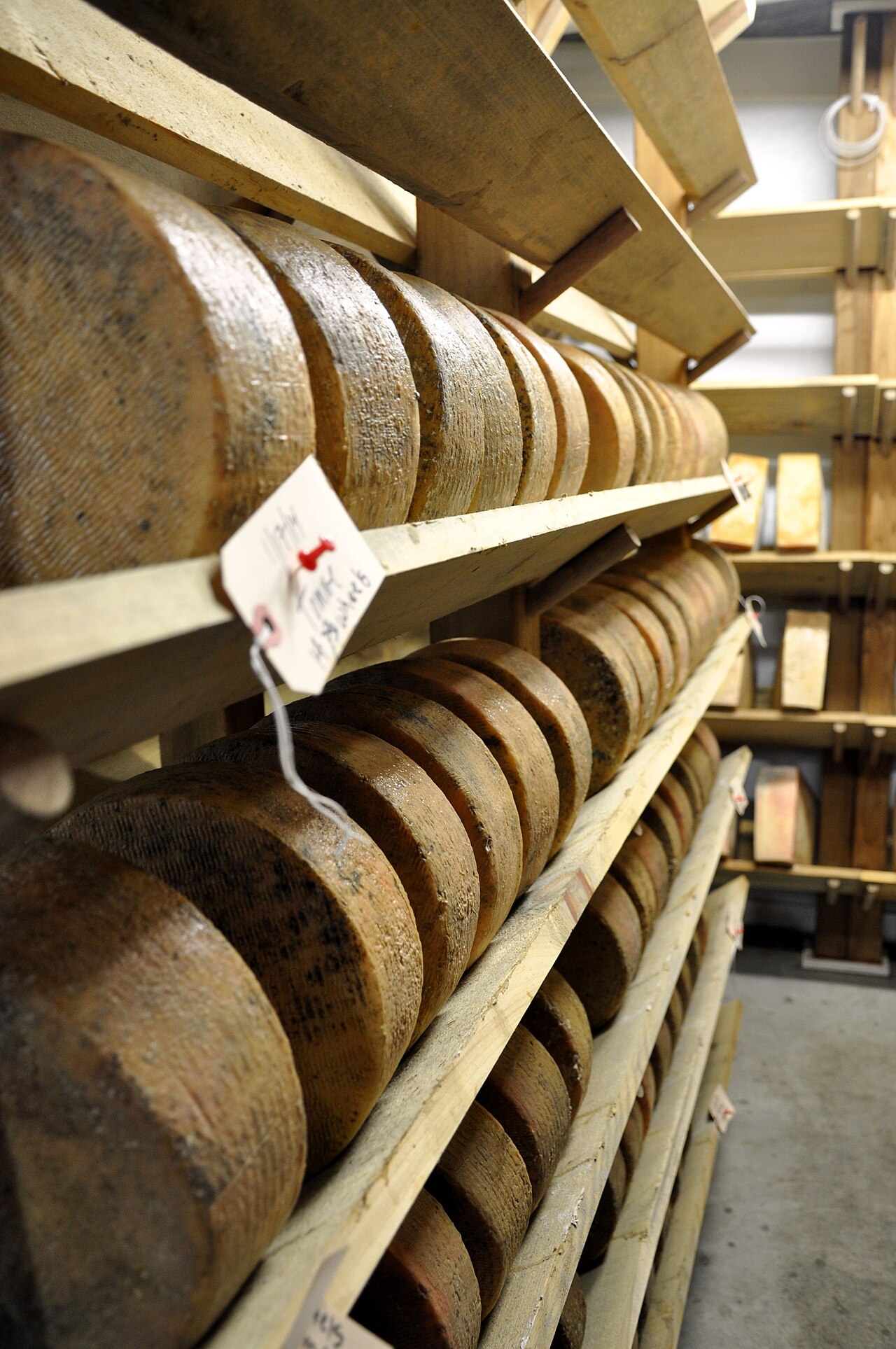 How to Store Cheese Cultures (And How Long They Keep)
